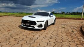 Mustang