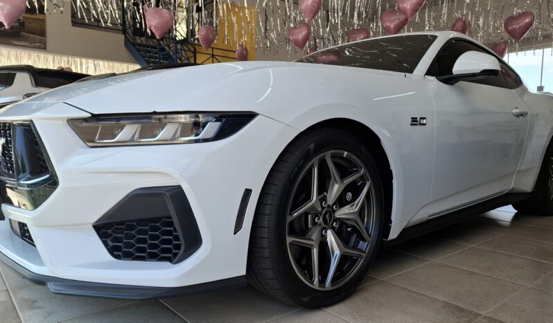 
								Mustang completo									