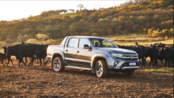
										Nova Amarok V6 2026 (Todas as Versões) completo									