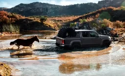 
										Nova Amarok V6 2025 completo									