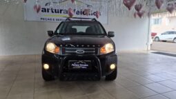 Ecosport 2011