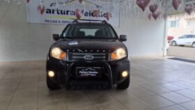Ecosport 2011