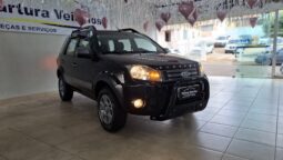Ecosport 2011