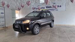 Ecosport 2011