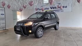 Ecosport 2011