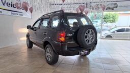 Ecosport 2011