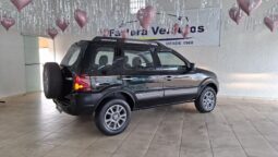 Ecosport 2011
