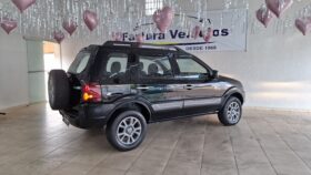 Ecosport 2011