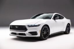 Mustang 2024