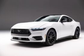 Mustang 2024