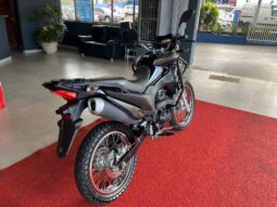 
										Honda XRE 190 2024 completo									