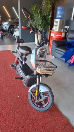 
										Moto Elétrica Foston X13 Max completo									