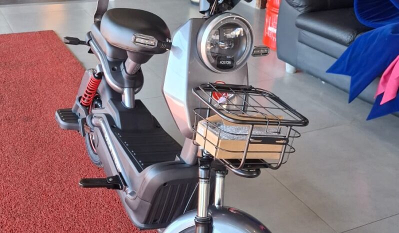 
								Moto Elétrica Foston X13 Max completo									