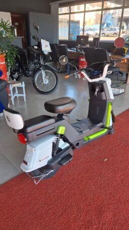 Moto Elétrica Ecoxtreme 1000w