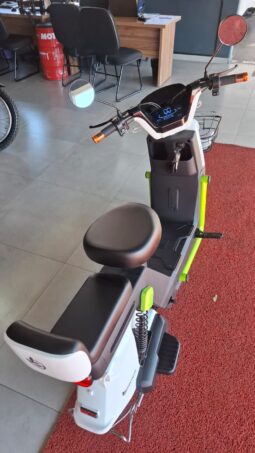 
										Moto Elétrica Ecoxtreme 1000w completo									