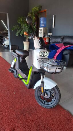 Moto Elétrica Ecoxtreme 1000w
