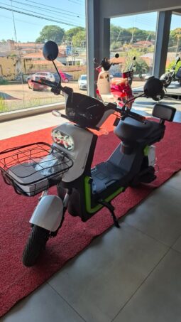 Moto Elétrica Ecoxtreme 1000w