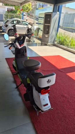 
										Moto Elétrica Ecoxtreme 1000w completo									