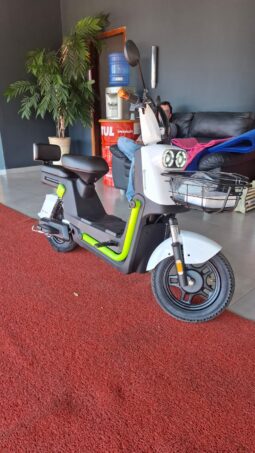 Moto Elétrica Ecoxtreme 1000w