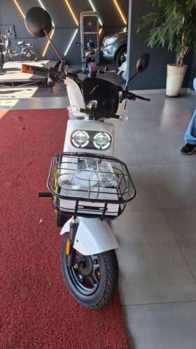 Moto Elétrica Ecoxtreme 1000w