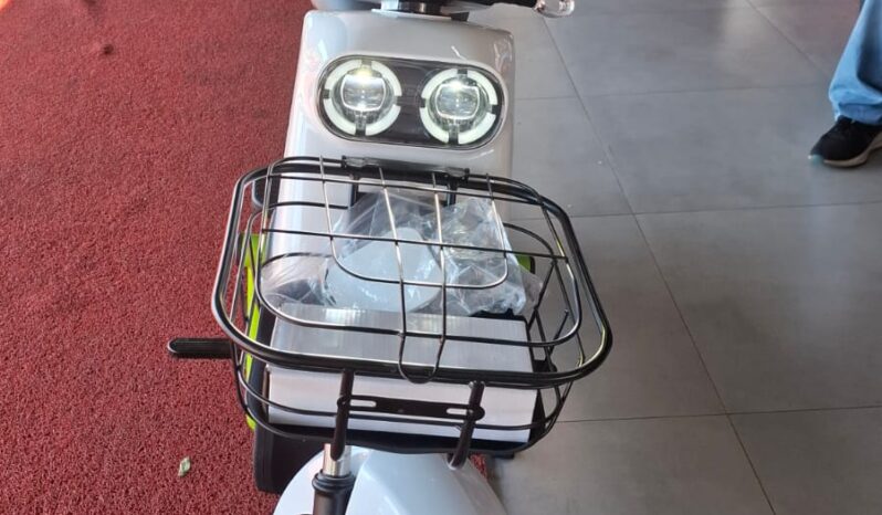 
								Moto Elétrica Ecoxtreme 1000w completo									