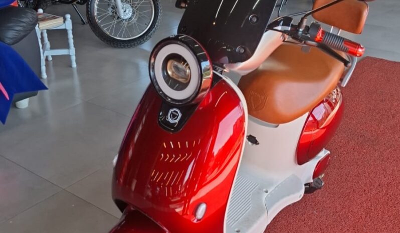 
								Moto Elétrica Foston Retrô X18 VP completo									