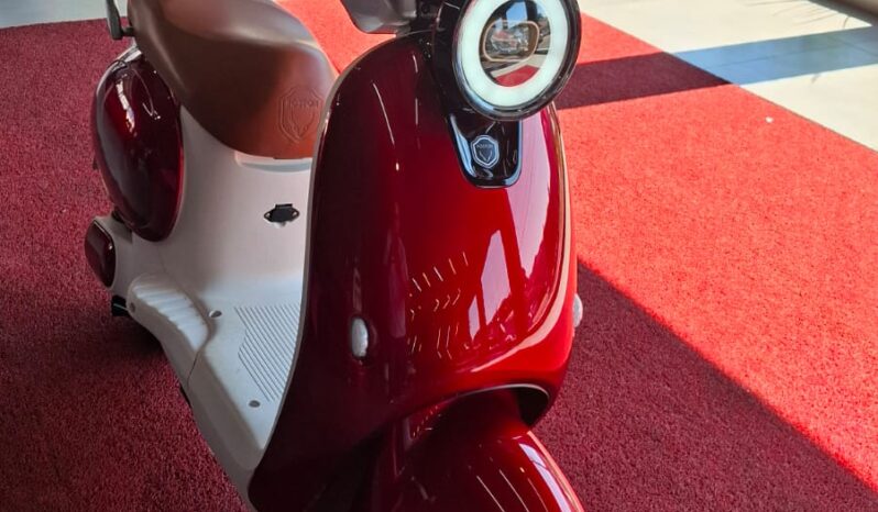 
								Moto Elétrica Foston Retrô X18 VP completo									