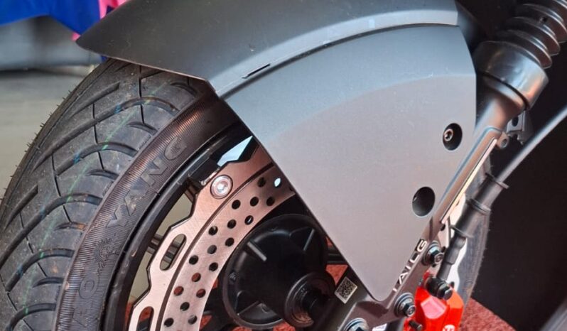 
								Moto Elétrica TAILG T-73 BLACK completo									
