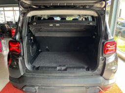 
										Jeep Renegade Longitude flex 1.3 turbo 2024 completo									