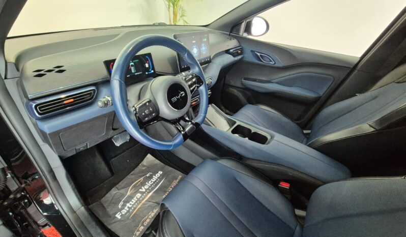 
								BYD Dolphin MINI completo									