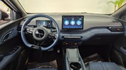 
										BYD Dolphin MINI completo									