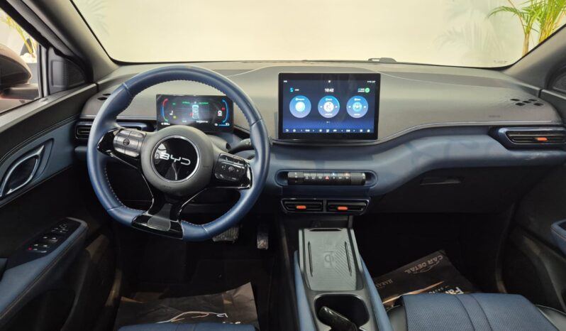 
								BYD Dolphin MINI completo									