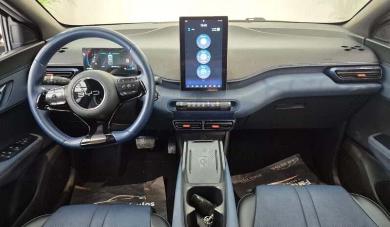 
								BYD Dolphin MINI completo									