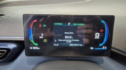 
										BYD Dolphin MINI completo									