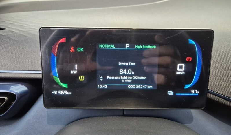 
								BYD Dolphin MINI completo									