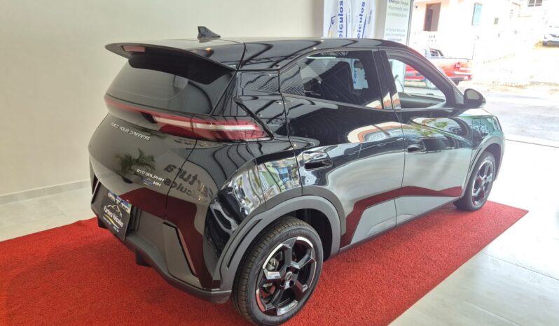 
								BYD Dolphin MINI completo									