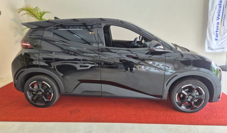 
								BYD Dolphin MINI completo									