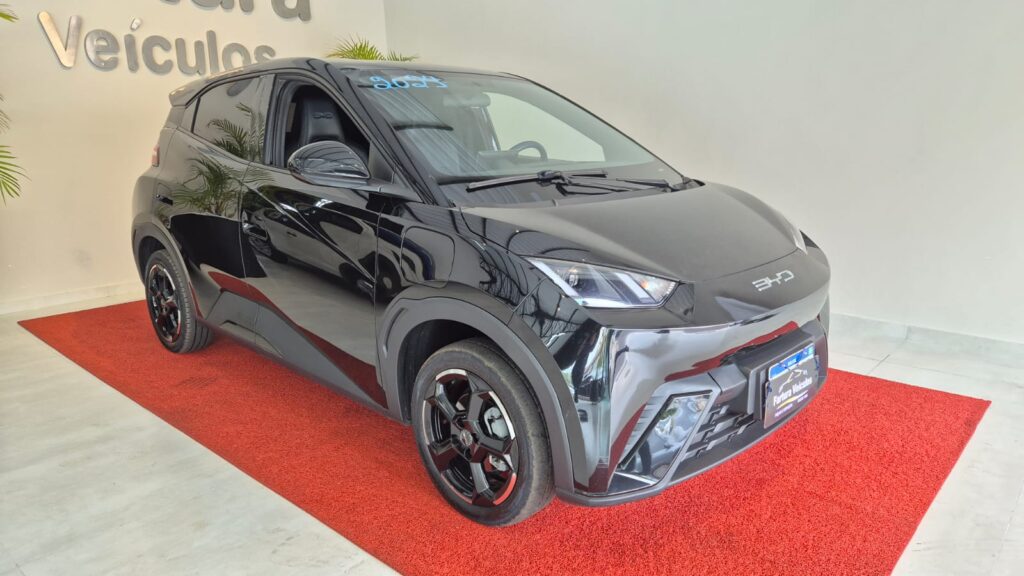BYD Dolphin MINI