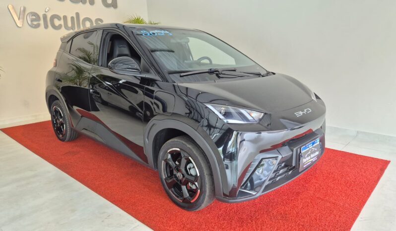 
								BYD Dolphin MINI completo									