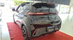 
										BYD Dolphin MINI completo									