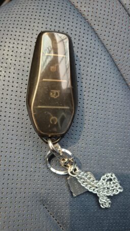 
										BYD Dolphin MINI completo									