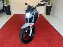 
										Honda CB Twister 250cc 2018/2019 completo									