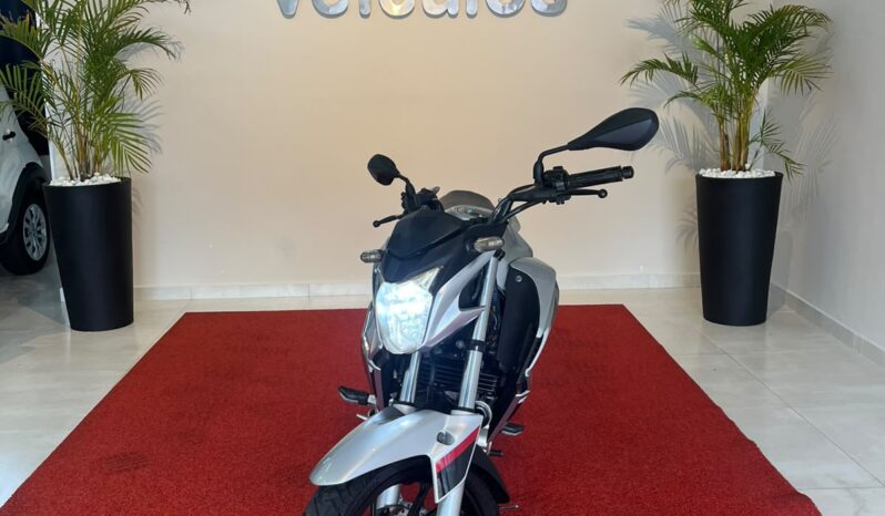 
								Honda CB Twister 250cc 2018/2019 completo									